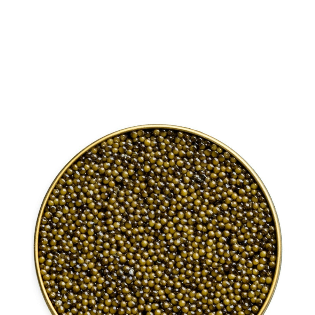 Russian Osetra Reserve Caviar w/ light amber, medium-large pearls and rich taste