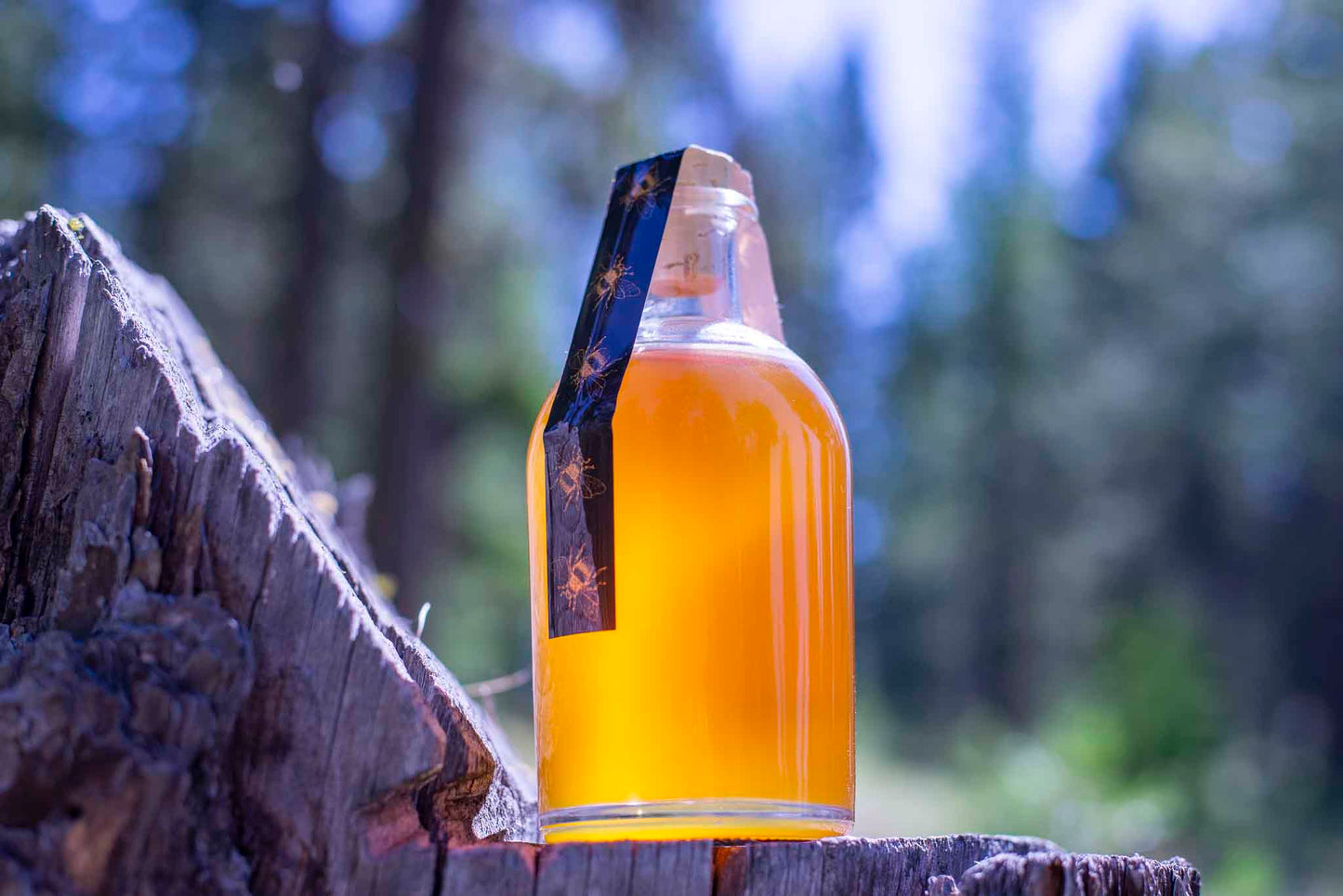 Boston PNW Raw Honey – 0.78 lbs of pure, local, unfiltered honey