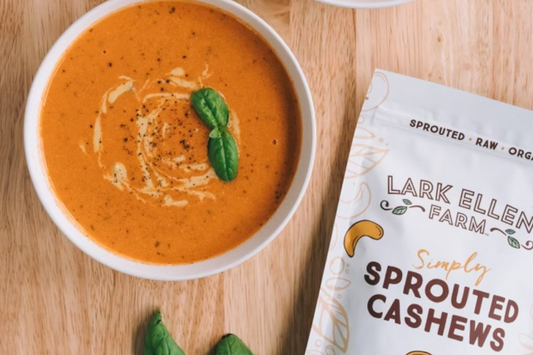 Organic Sprouted Cashews – Nutritious, Digestible, Delicious Snack