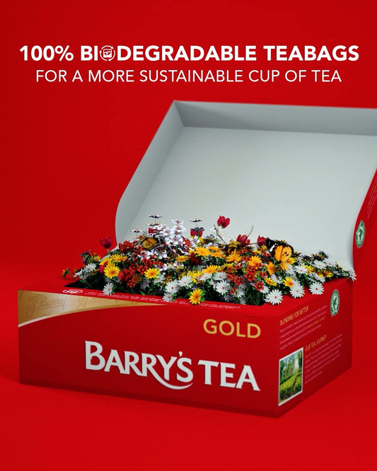 Irish Barry's Tea Gold Blend 80 Teabags - 250g | Taste The Planets