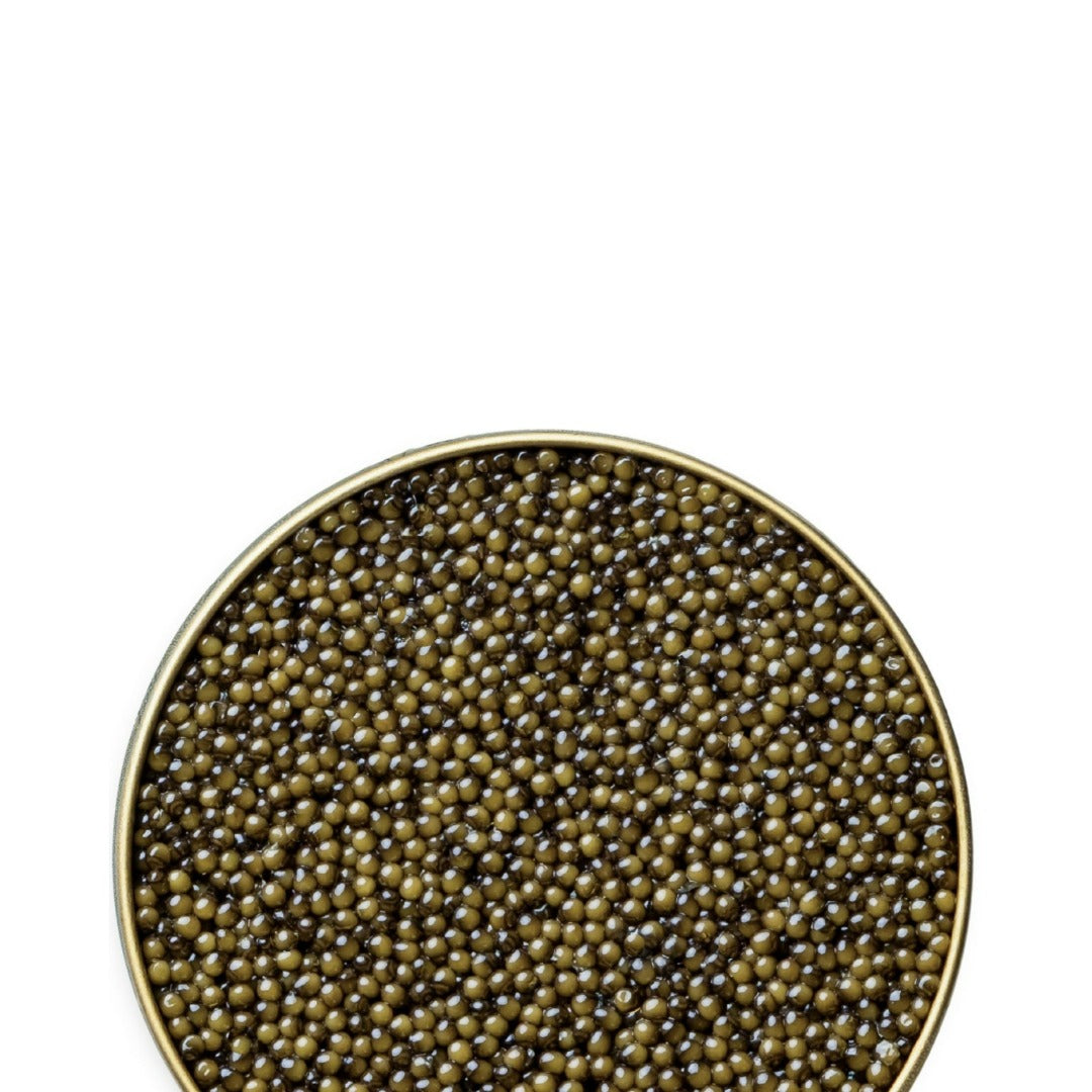 Russian Osetra Classic Caviar with firm, dark pearls and balanced fruity flavor