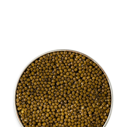 Russian Kaluga Classic Caviar w/ large buttery pearls, dark hues, mild salt