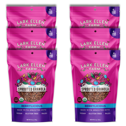 Berrylicious Granola – Organic Sprouted Nuts & Seeds, Gluten-Free
