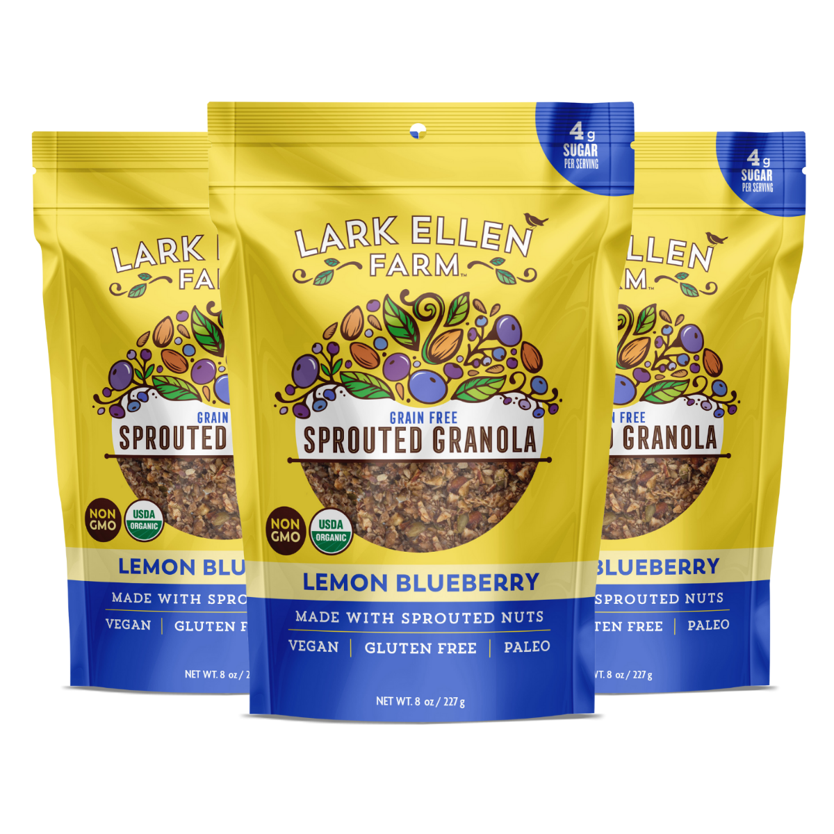 Lemon Blueberry Granola – Grain-Free, Vegan, Gluten-Free, Sprouted Nuts