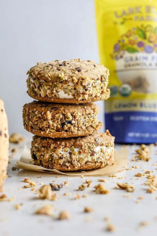 Lemon Blueberry Granola – Grain-Free, Vegan, Gluten-Free, Sprouted Nuts