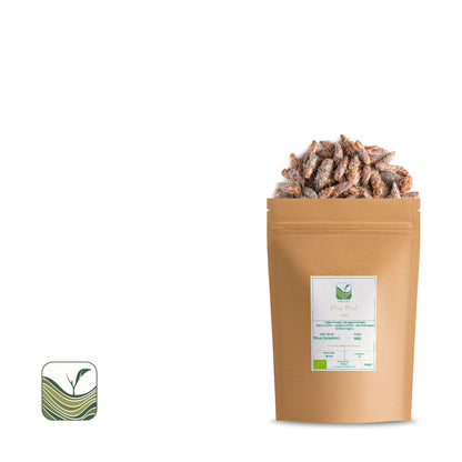 Polish Pine Buds Tea – Dried Pine Needle & Sprig Herbal Tea | Natural Pine Needle Tea for Wellness - Taste The Planets