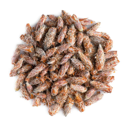 Polish Pine Buds Tea – Dried Pine Needle & Sprig Herbal Tea | Natural Pine Needle Tea for Wellness | Taste The Planets 