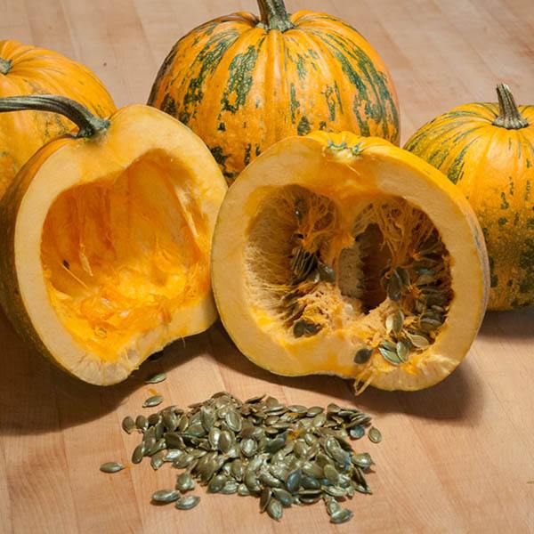 Organic Sprouted Styrian Pumpkin Seeds – Hull-Less, Crunchy, Vegan