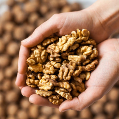 Organic Sprouted Walnut Halves – Crunchy, Nutritious, Heart-Healthy Snack